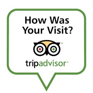 TripAdvisor Review Express WiFi Request